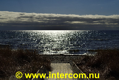 108 Skane, Sweden_85M7870_02_1704